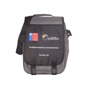 Bolsos Seminario 26