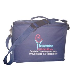 Bolsos Seminario 05