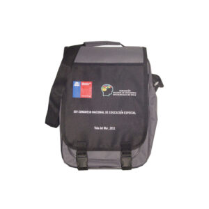 Bolsos Seminario 39