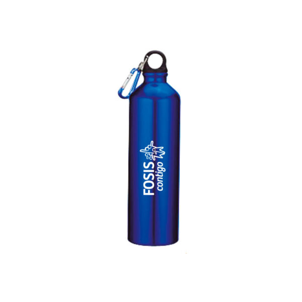 Botellas Aluminio