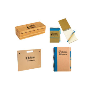 Geinse maqueta 2